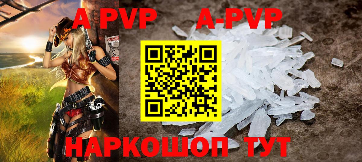 A PVP СК Луга