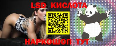прущие крисы Донской