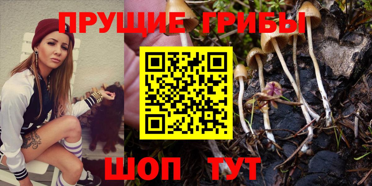 Галлюциногенные грибы мухоморы  Галлюциногенные грибы Psilocybine cubensis  Луга  Вход с VPN 