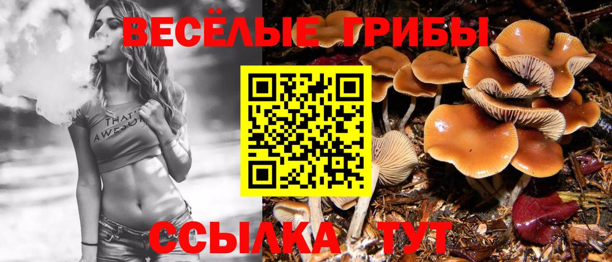 Псилоцибиновые грибы мицелий Луга